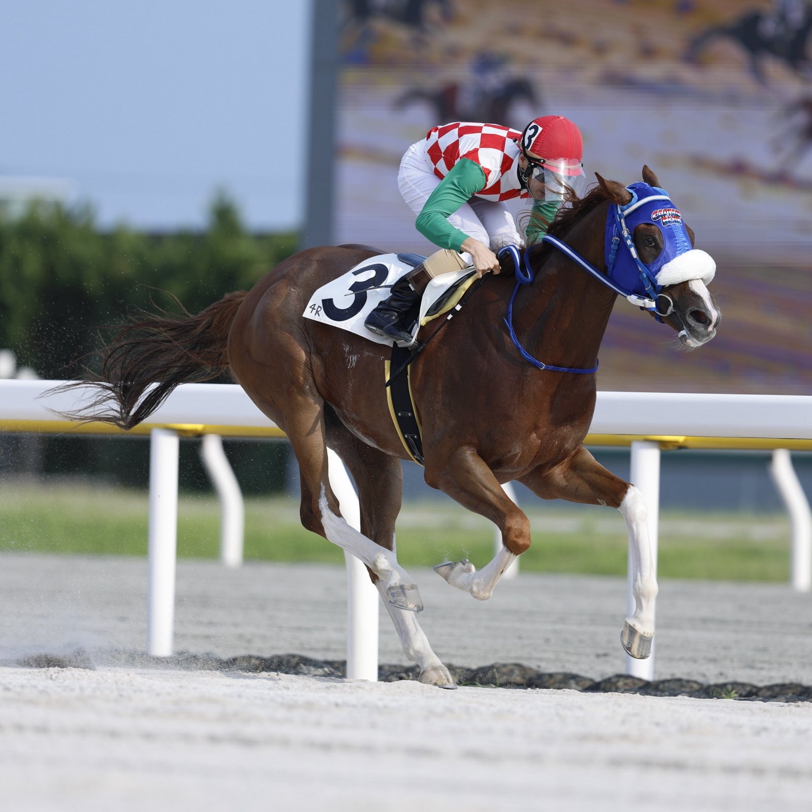 楽天競馬🐎｜楽天ポイント貯まる・使える！ on X: 
