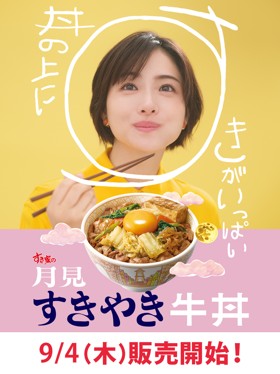 すき家　陶器製どんぶり　並盛　二つ すき家 陶器製どんぶり 並盛 二つ