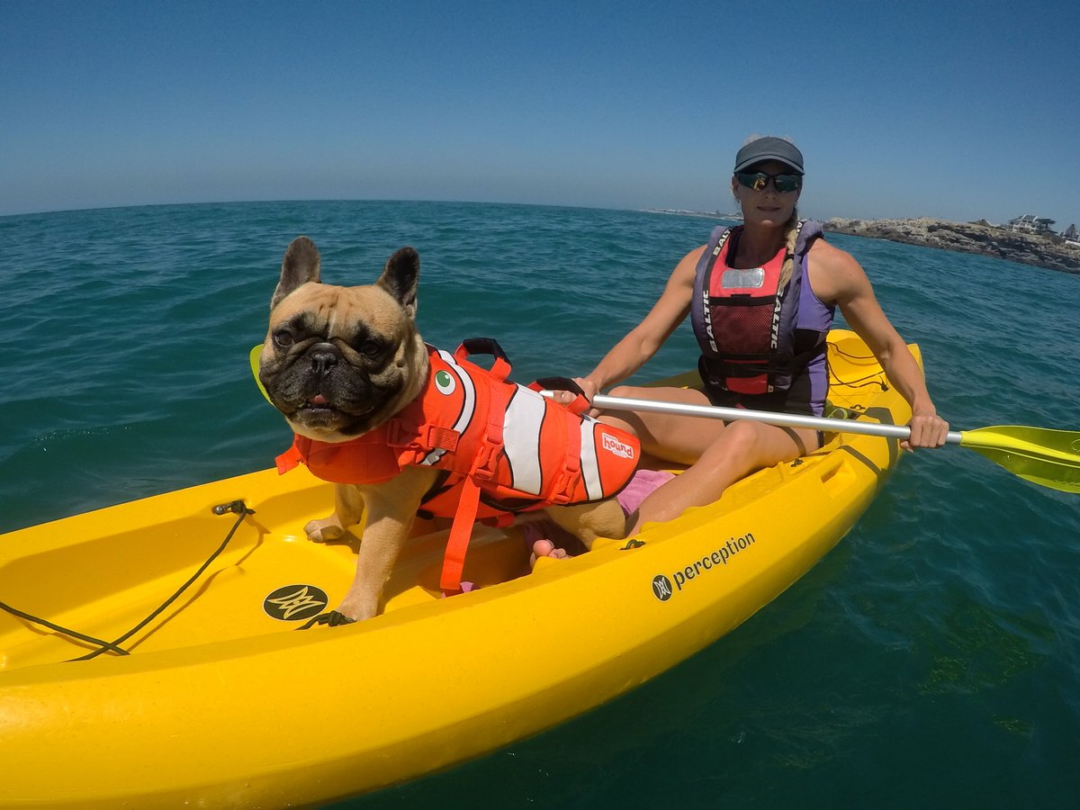 Dirty Boots | South Africa Adventures tweet media