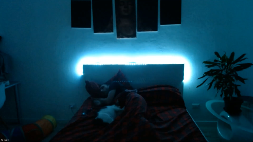 🔴Another Sleep Stream on <a href="/pumpdotfun/">pump.fun</a> 

We dont stop, we grind 24/7

Day 8 - Joint the Club: woney.club

We will stream for the rest of our life!