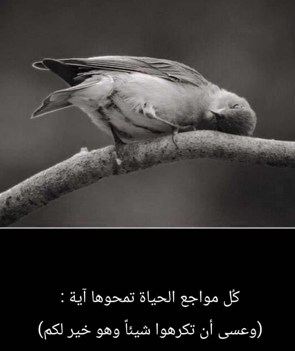 Sultan aljahwari (@apr8844) on Twitter photo 