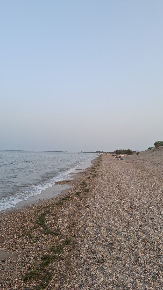 Abrazarte.
Besarte.
Cuidarte.
Sorprenderte.
Tantas maneras de amar, sueños por vivir y complicidad que derramar.
¡Dime que sí!
Gritemos al horizonte nubes de felicidad.
¡Dime que sí!
Tenemos una eternidad por delante.
¡Dime que sí!

#Microcuento