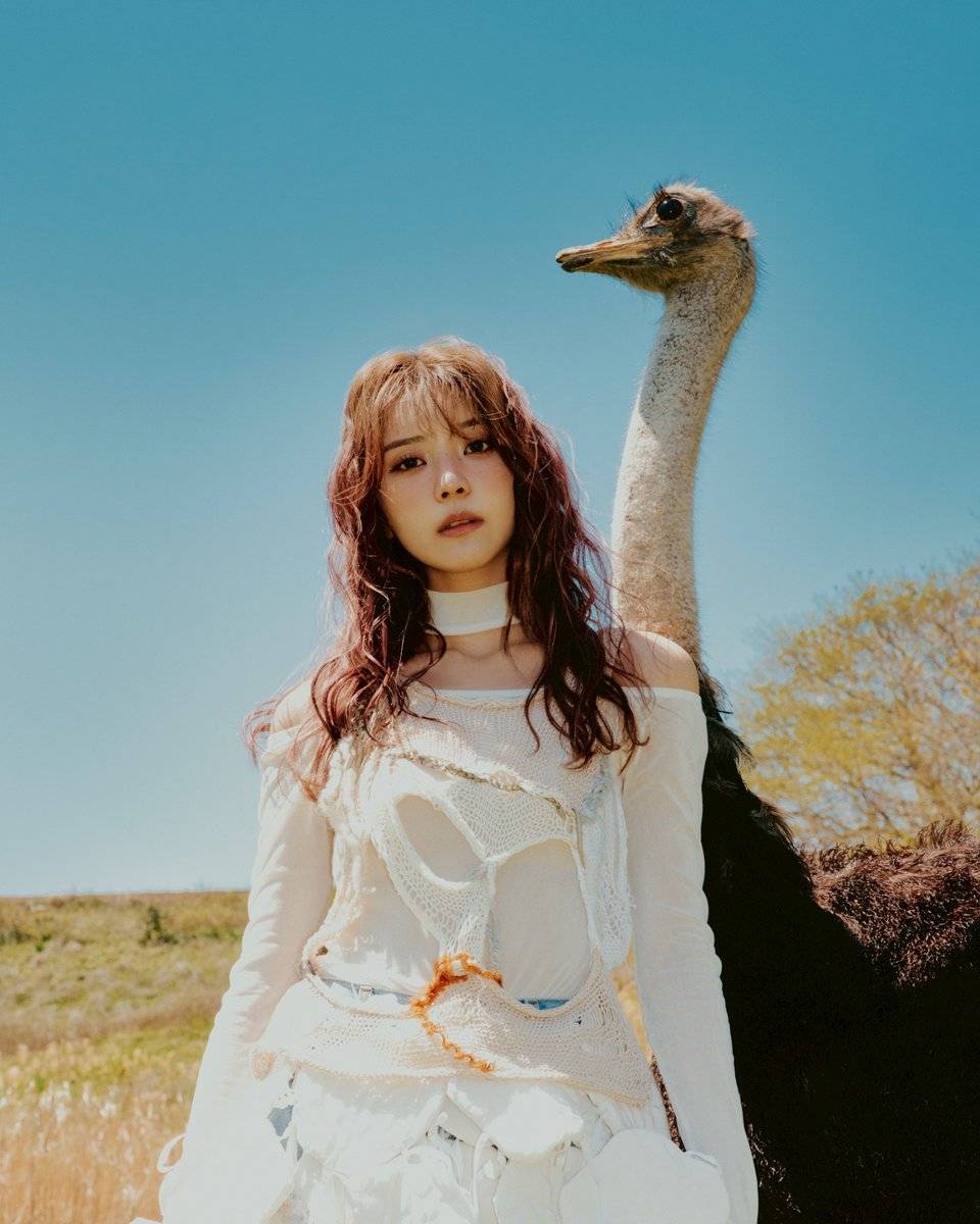 【楽曲提供🎼】
2025.08.27 Release
元櫻坂46 #小林由依 さんソロプロジェクト 
#yousti
1st mini Album『yousti』
M-7 収録「second choice」
作詞曲編曲で参加しました

作詞はご本人も参加！
是非聞いてください！

▽配信
yousti.lnk.to/1stminiAL

作詞：yousti,KISIMEN
作曲, 編曲：KISIMEN