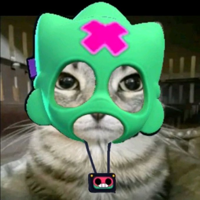 Se me fue la onda decírselos

Hoy es mi cumpleaños