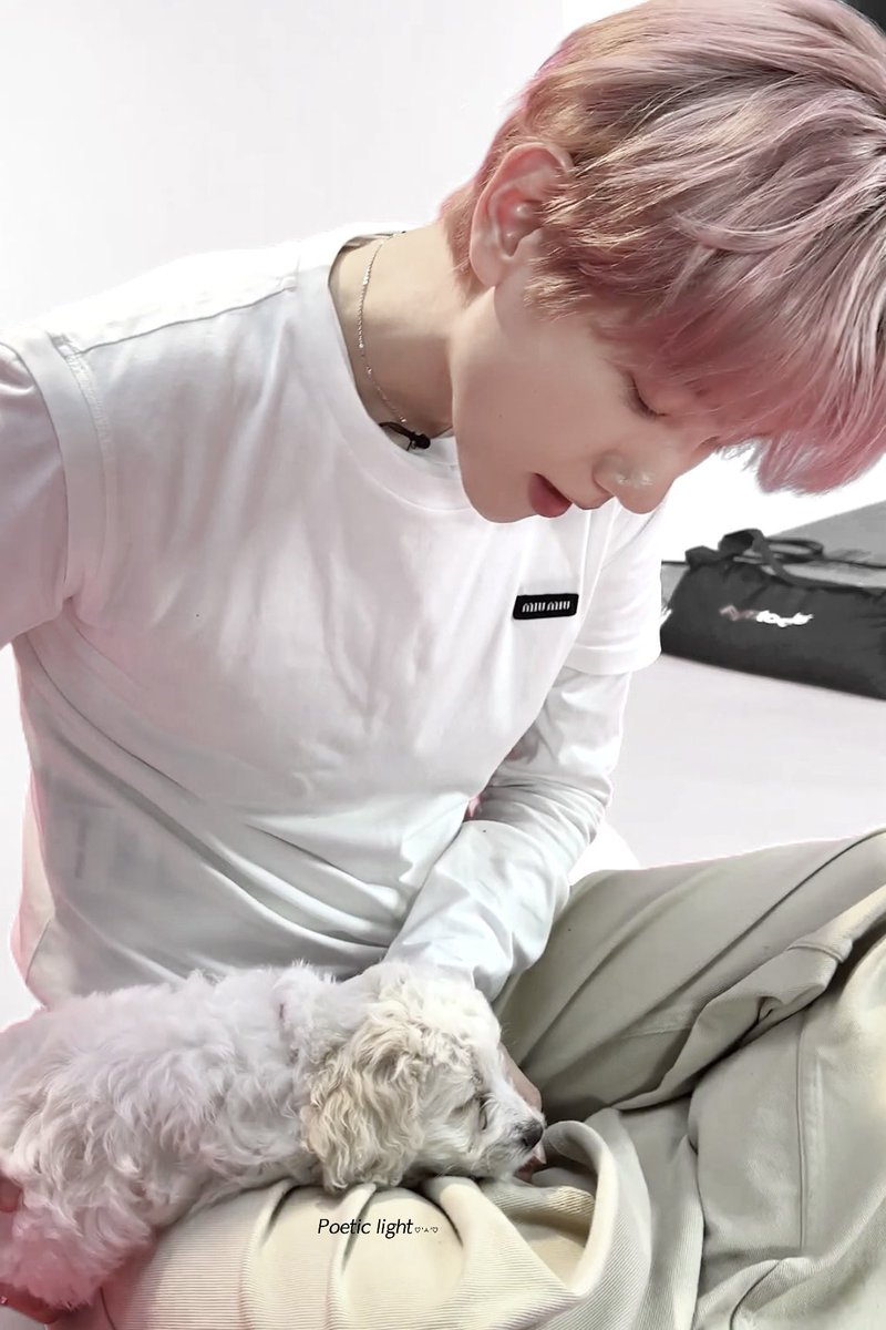 달이 tweet media