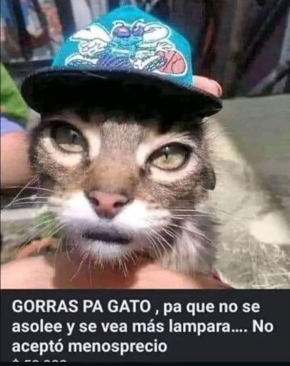 OutOfContextCol's tweet image. 