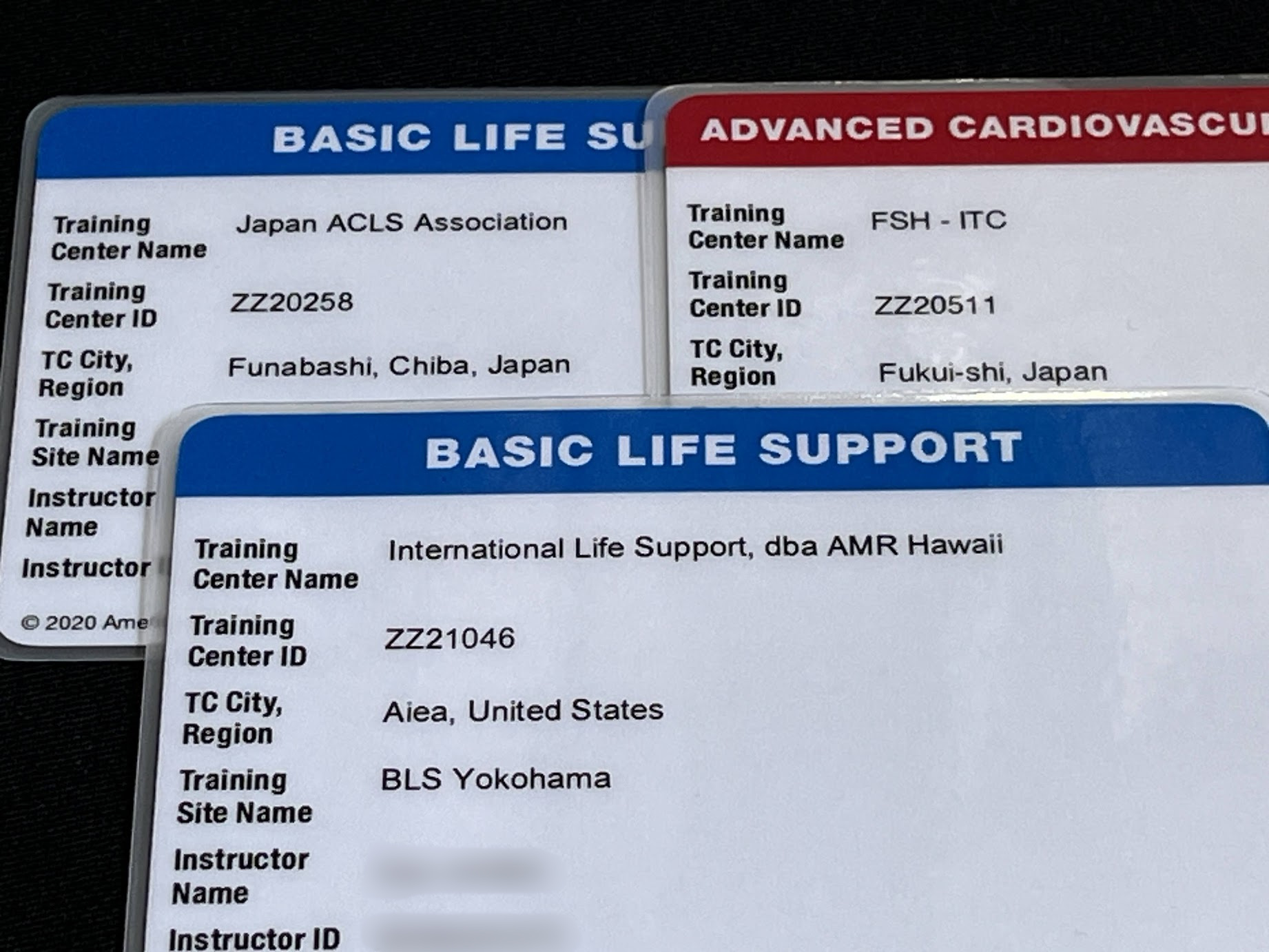 BLSプロバイダー BLSプロバイダーコース｜資格取得なら日本ACLS協会