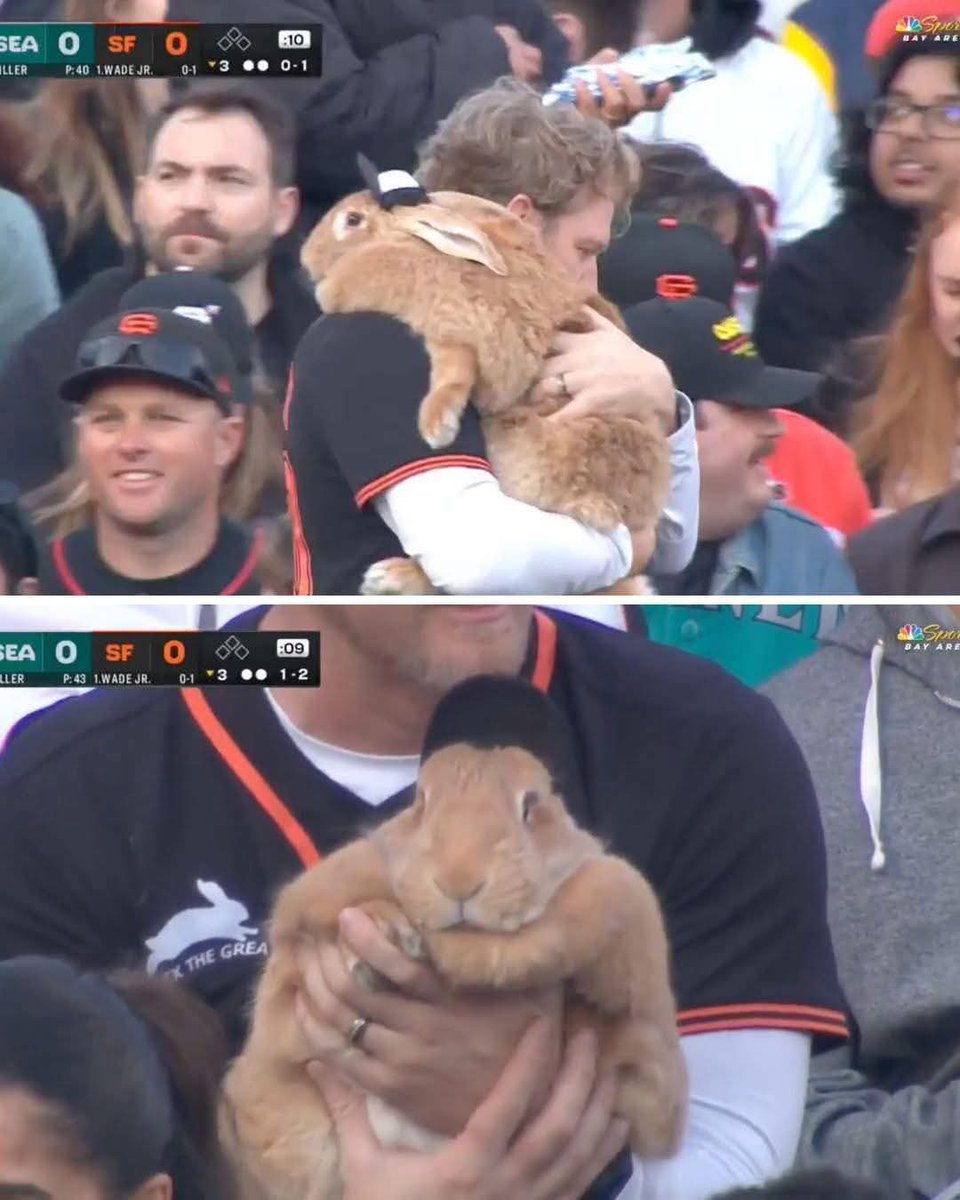 RabbitLoversUSA's tweet image. 