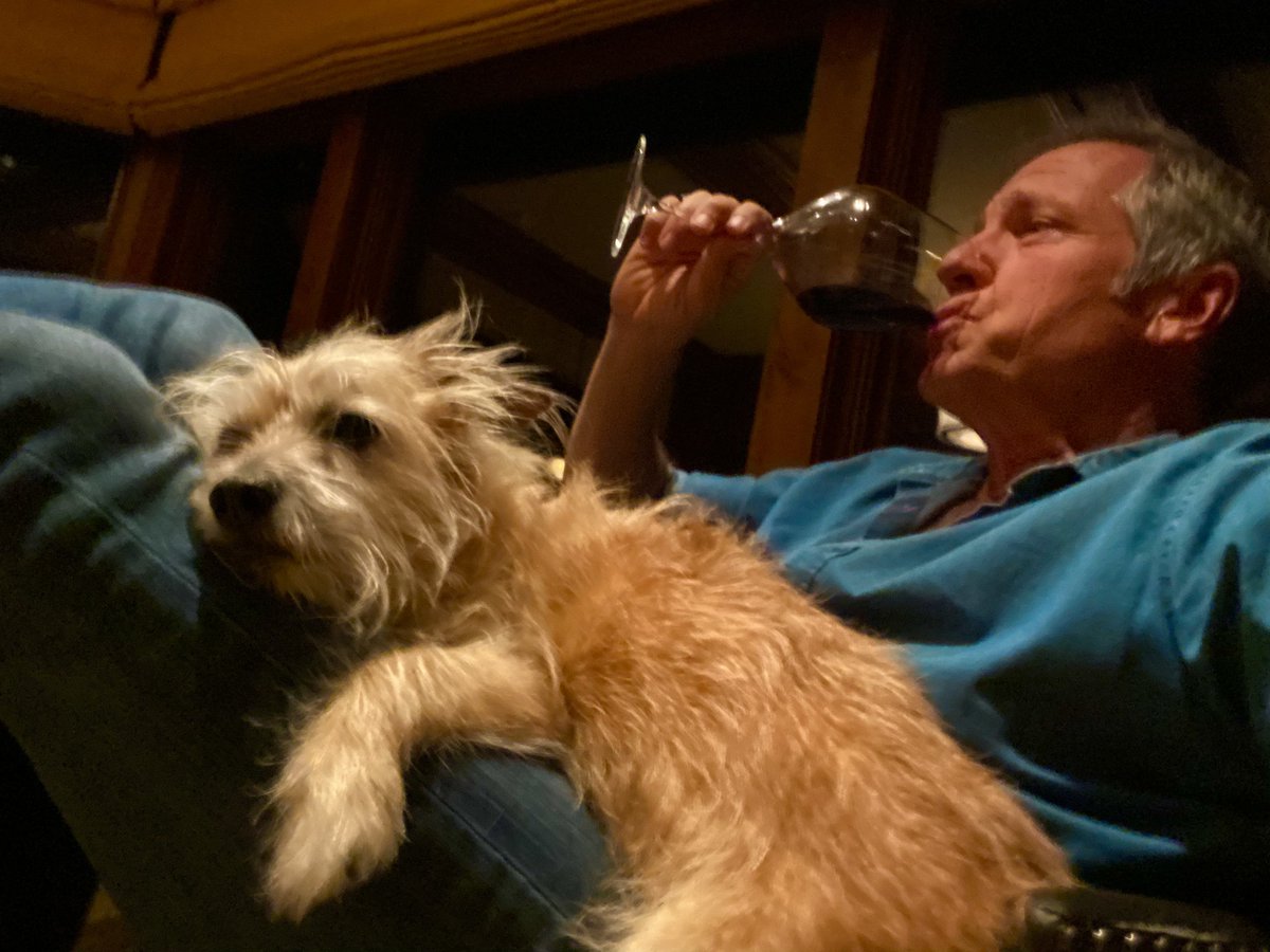 mikeroweworks's tweet image. It's National Dog Day.
Celebrate with a friend.
Freddy
