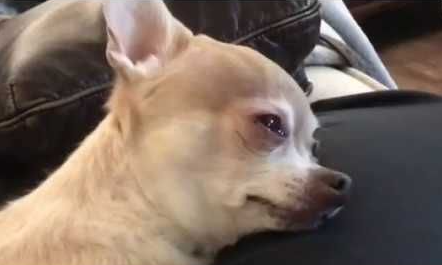 CSIRO Staff tweet media