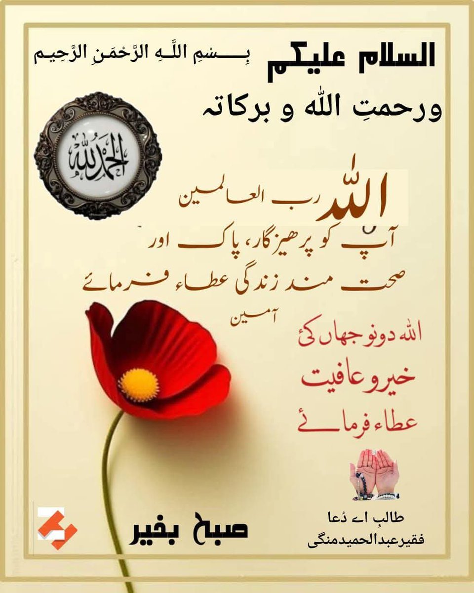 السلام علیکم ورحمة الله وبرکاته✨

صبح بخیر!🌹