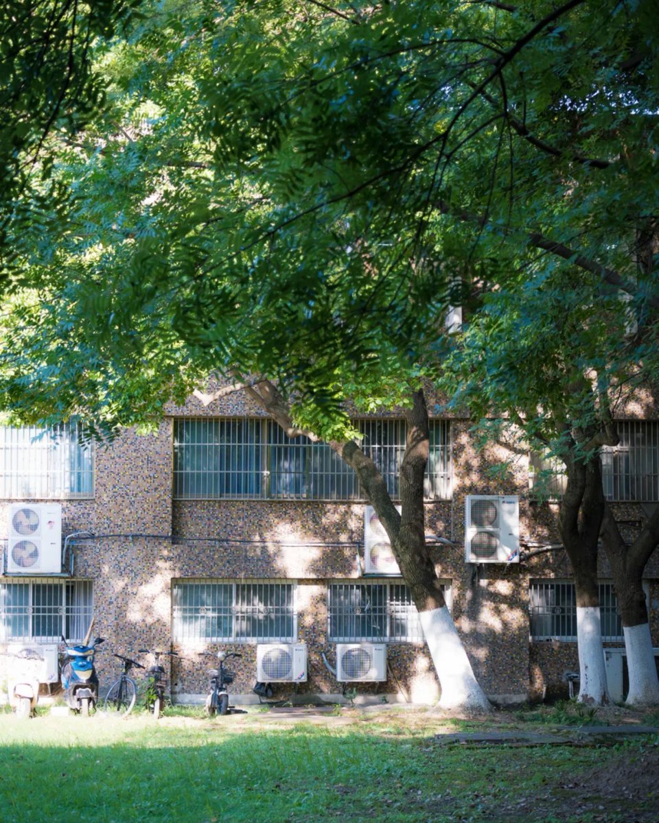 StudyatUSTC's tweet photo. Counting down the days to welcome new faces and familiar ones back to campus!

Amid the dappled sunlight and rustling leaves, the campus lies in a gentle summer hush, waiting for the energy and excitement of a new semester.

#USTC #DiscoverUSTC #USTCSummer #SummerVibes #CampusView #中国科学技术大学 #中国科大