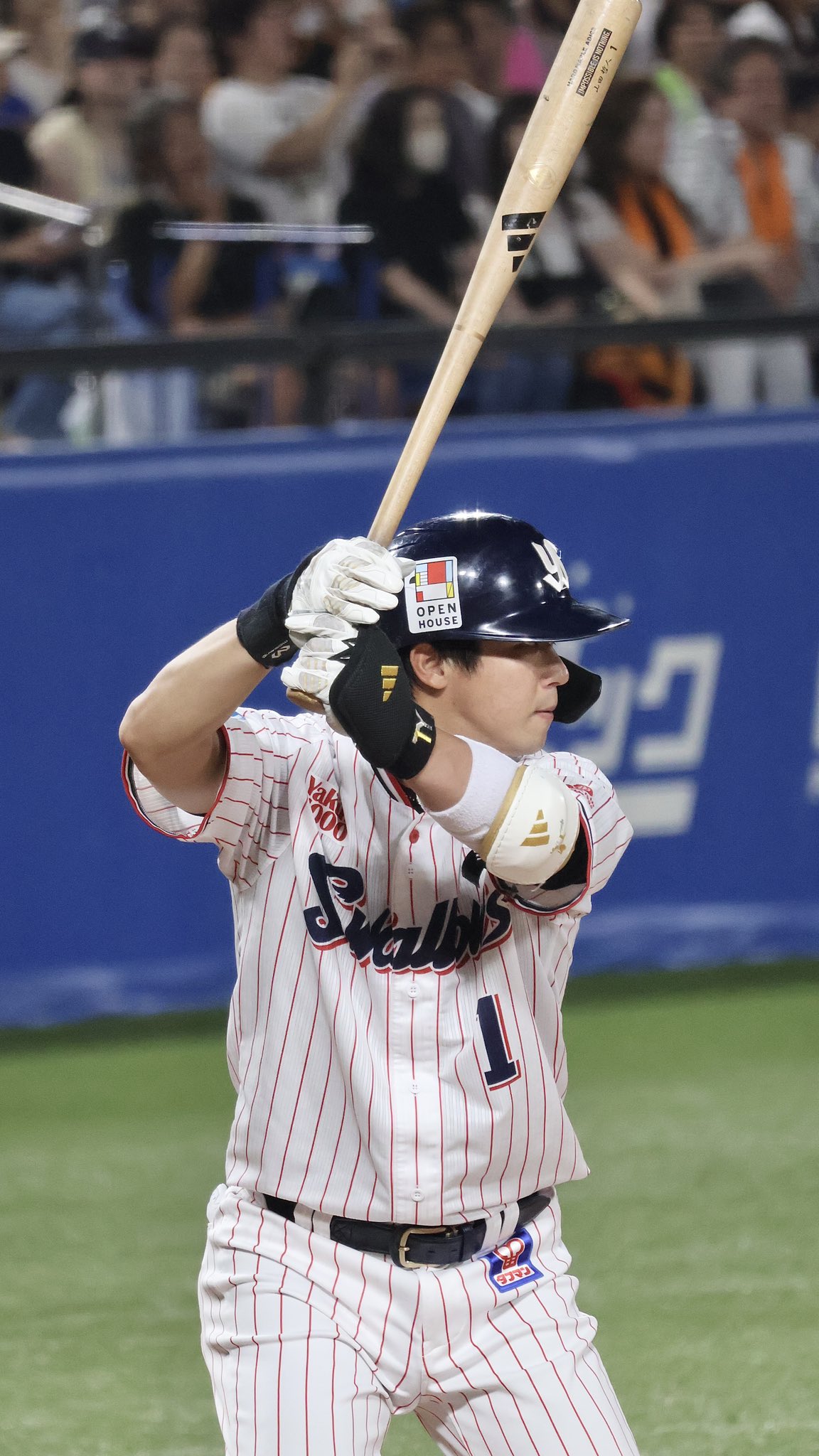 ヤクルトスワローズ 山田哲人 9枚限定 2017 Triple Threads 山田哲人 9号ホームラン！山々🏔️ 他の選手写真はこちら