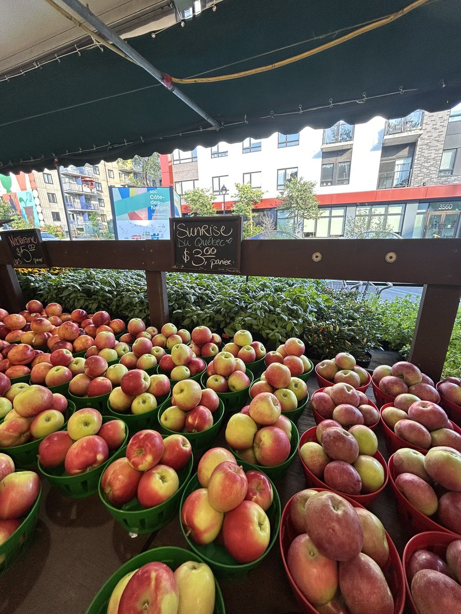 モントリオールを旅行中にちょっと立ち寄ったお店。
フルーツや野菜の並べ方が
バンクーバーとはちょっと違う？
ユニークです。
ケベック州産の新鮮な果物や野菜がたくさん！