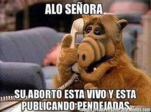 <a href="/ari_annac/">Arianna</a> Deberías largarte a Cuba o Venezuela para que no te duela tanto,allá estarían en el paraíso, toda la vida habido migración lo malo es que estos borregos migran a países capitalistas a trabajar sin beneficios laborales y por horas lo que tanto reclaman acá está bola de borregos