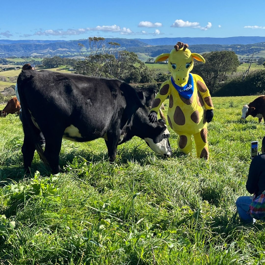 As part of Healthy Bones Action Week, an initiative to inspire Australians to take action to protect their bones, Healthy Harold visited The Pines Farm in Kiama, New South Wales.

Known to many schoolchildren across the country, Harold is the giraffe mascot of Life Ed,