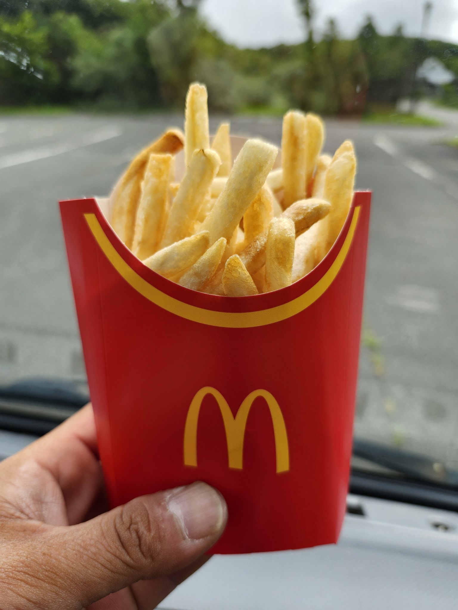 マックポテトL - Search / X