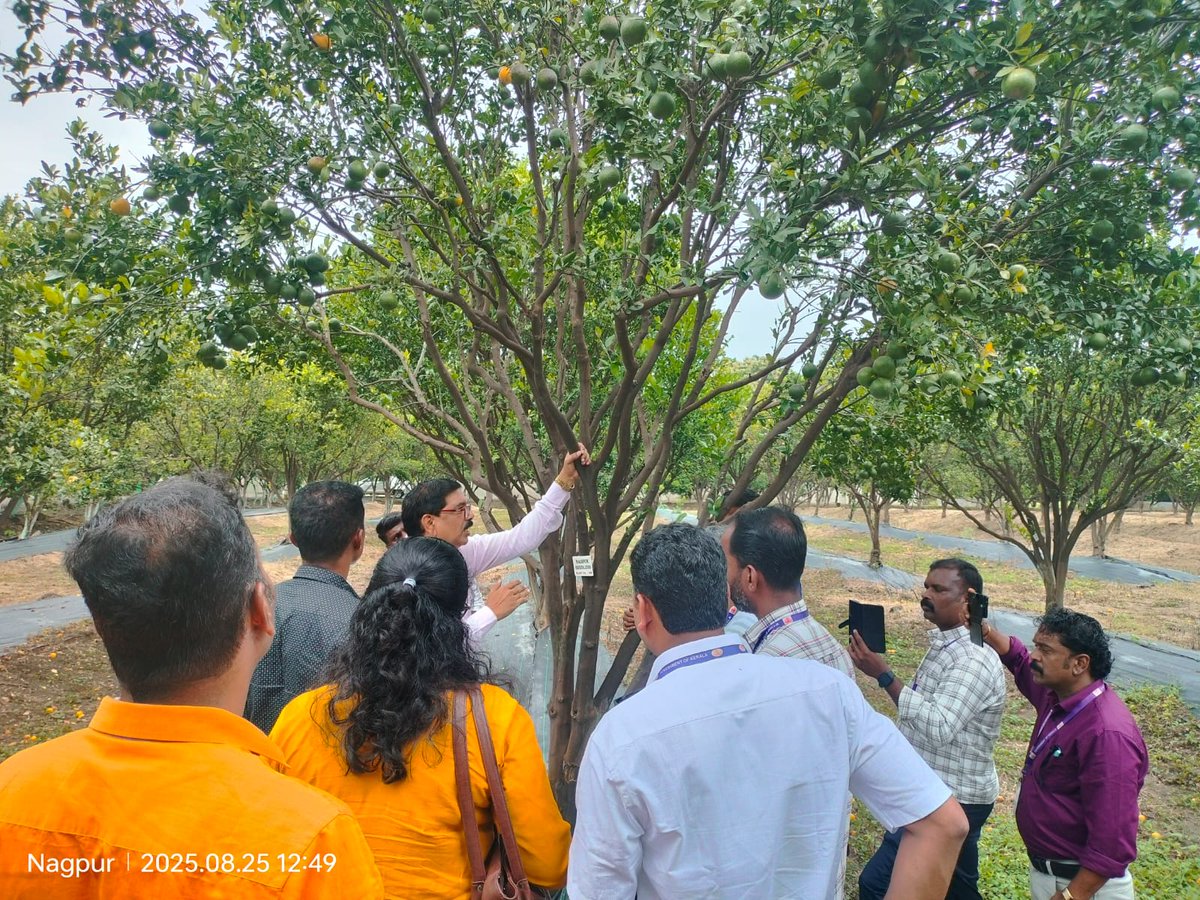 MASHAV-in-INDIA tweet media