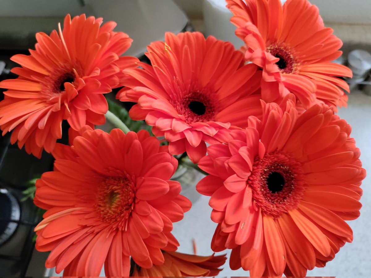 adi8a's tweet image. 🥰