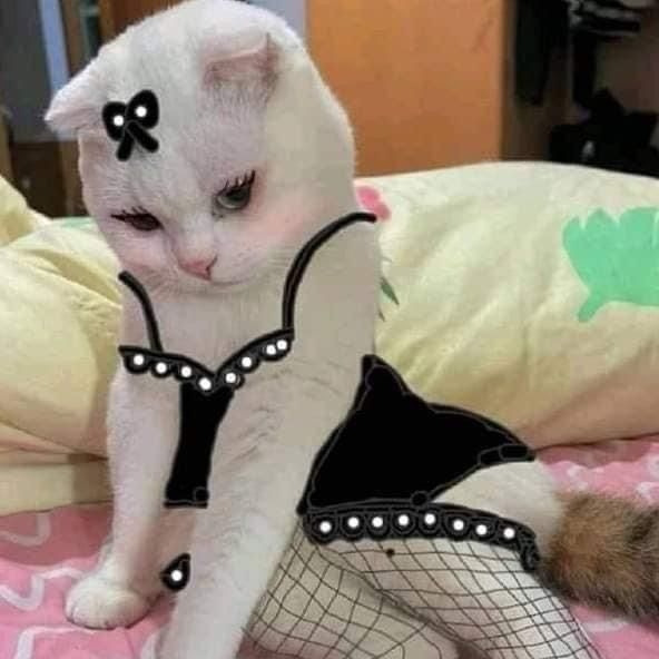 Day 2 Flirting for <a href="/0xkaiserkarel/">0xkaiserkarel.union</a> before Union Mainnet and TGE

"Hello karel"

zkgm Union army 0_______0