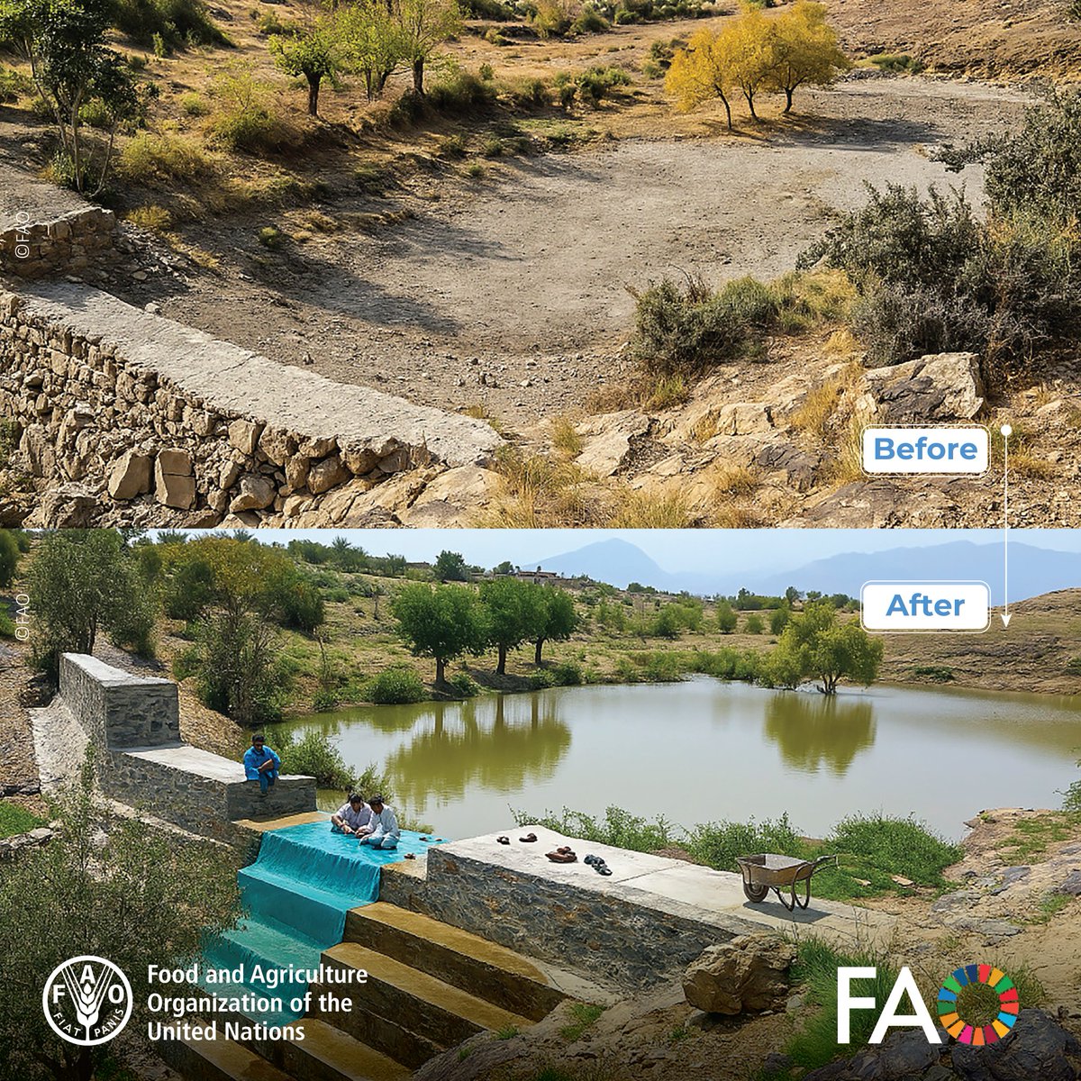 In Khost’s Warza village, with the <a href="/WorldBank/">WorldBank</a> support, <a href="/FAO/">Food and Agriculture Organization</a> repaired a check dam through its cash-for-work programme.

This effort provided local jobs, and today the dam stores 520m³ of water, supporting families, livestock &amp; 200ha of farmland.

#EveryDropCounts💧