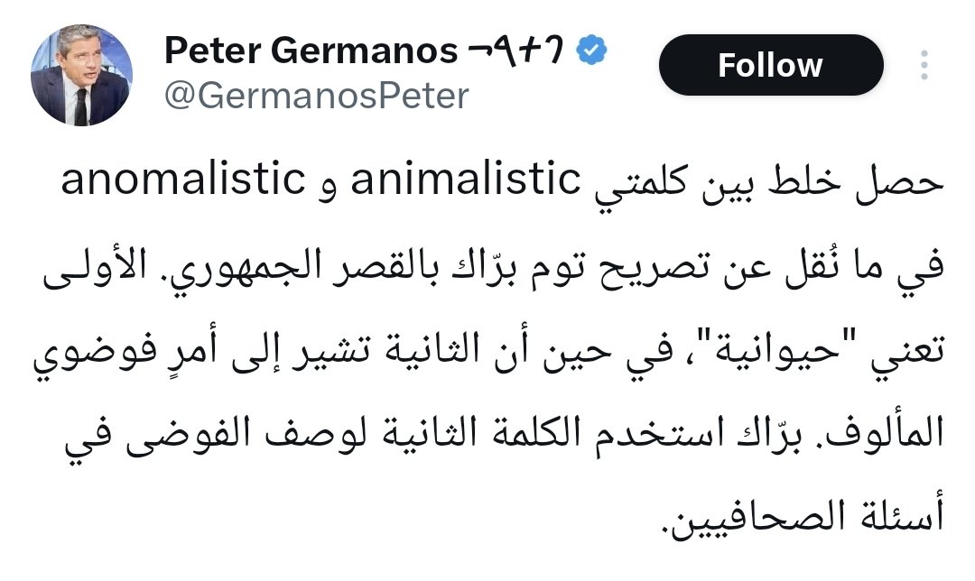 شوفولي هل كلب. بفتكر chihuahua