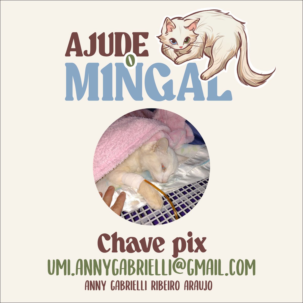 Oi amigos! Não sou de vir aqui desse jeito, mas estamos desesperados!

Meu gatinho Mingal está com problemas de respiração e estamos muito preocupados! Quem puder ajudar doando ou compartilhando eu ficarei imensamente agradecida 💜

mais infos abaixo+