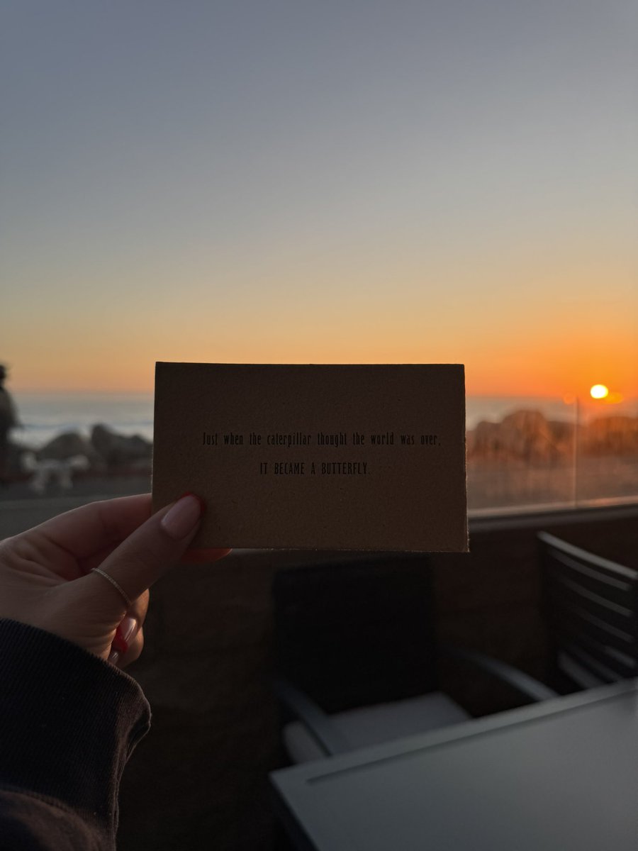 big vibes 🌅 🐚 🌊 🦋