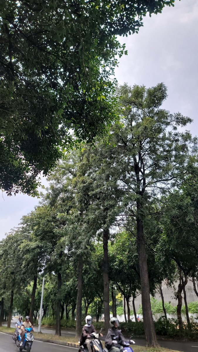 cryptonanay.eth tweet media