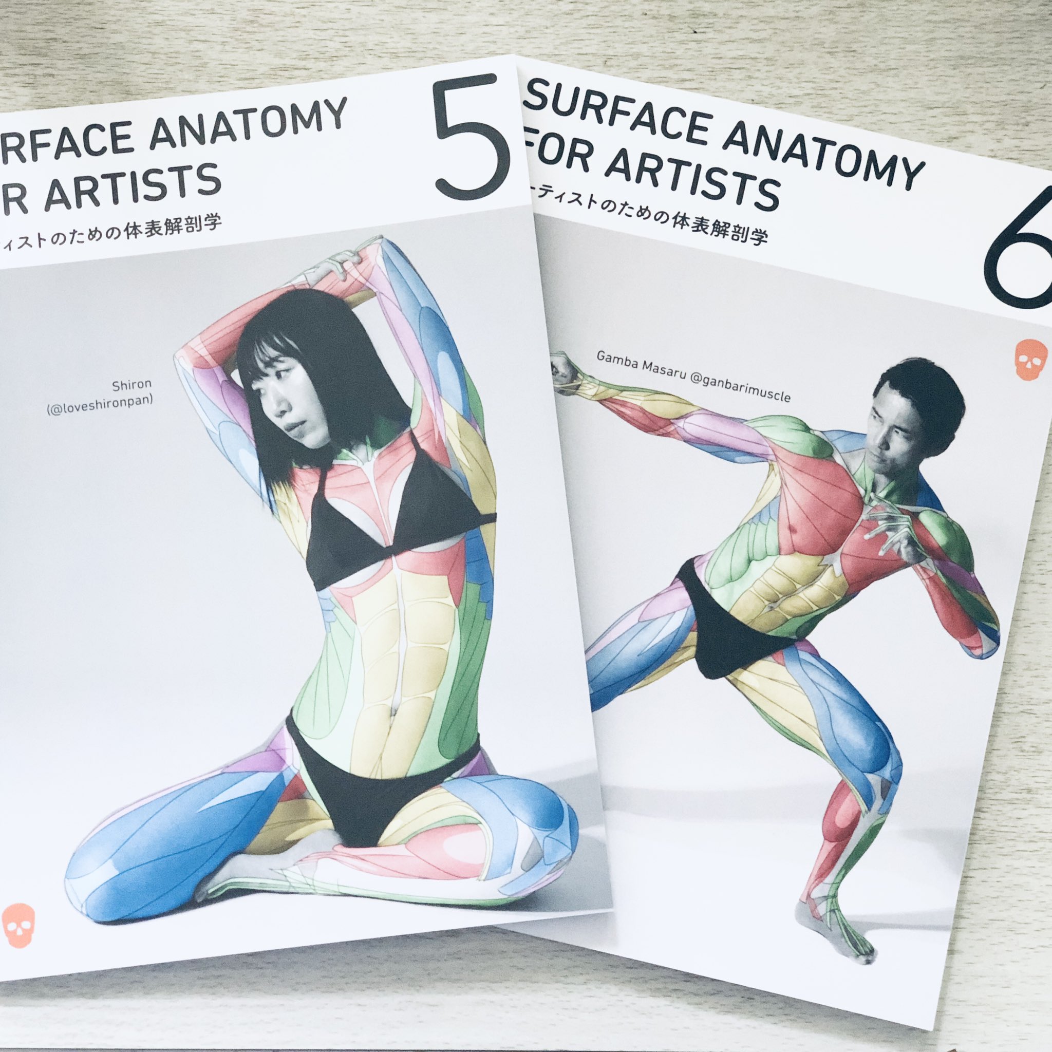 アーティストのための体表解剖学　3冊セット アーティストのための体表解剖学（PDF） - anatomytutorials - BOOTH