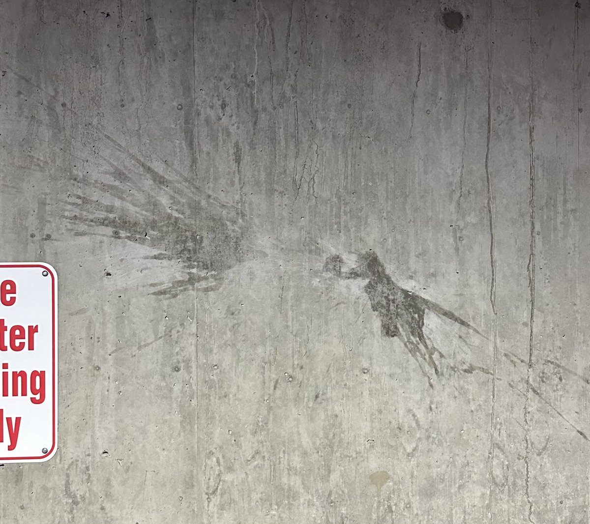 I was stunned by the composition of two stains today