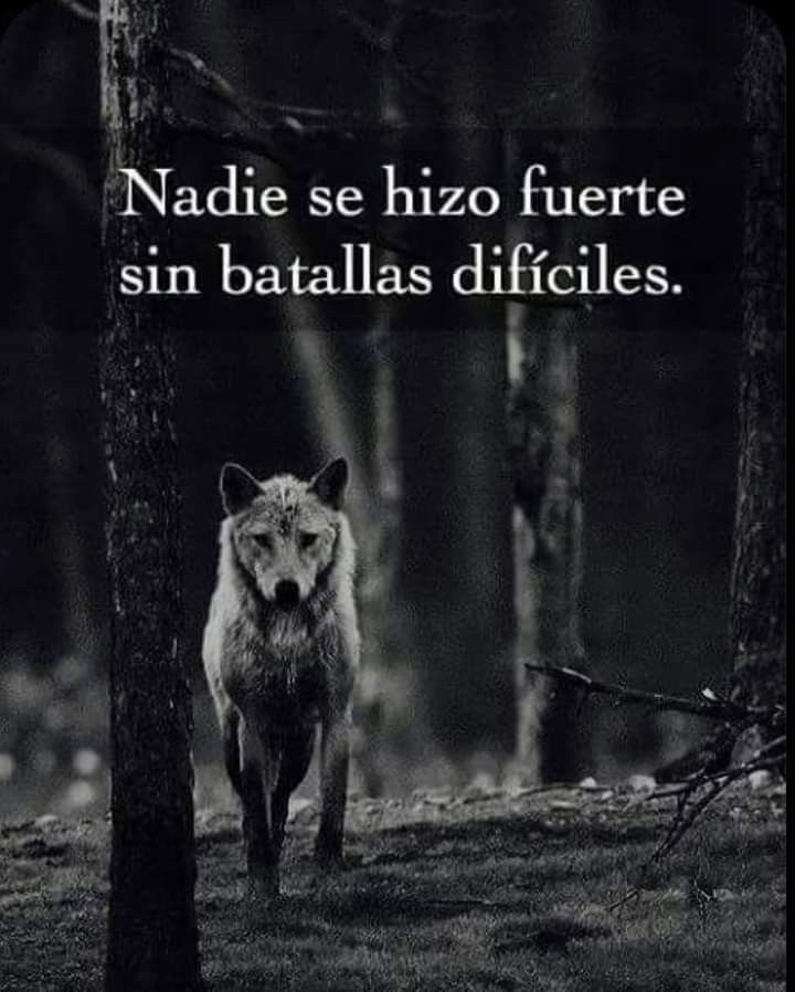 SeduccionFeroz (@seduccionferoz) on Twitter photo 