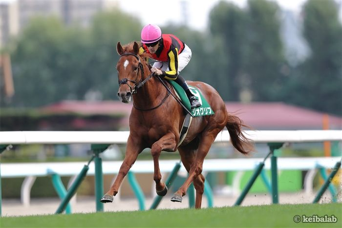 【ありがとうジオグリフ】
ジオグリフ
Geoglyph
(牡6、美浦・木村哲也厩舎)
父ドレフォン、母アロマティコ
母父キングカメハメハ
#ジオグリフ #引退 #種牡馬入り
keibalab.jp/db/horse/20191…