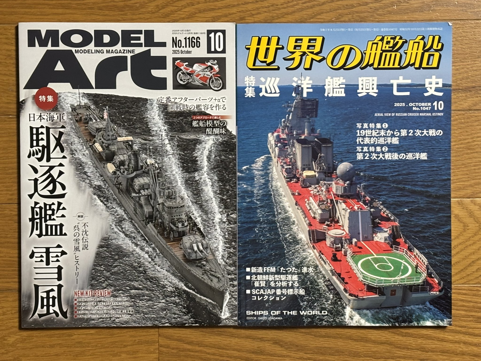 2025_特！年最安！！田中路人 作　★日本画　★噴煙　原画　F8 諏訪之瀬島で噴火 噴煙1500メートル 鹿児島 (2025年8月26日掲載