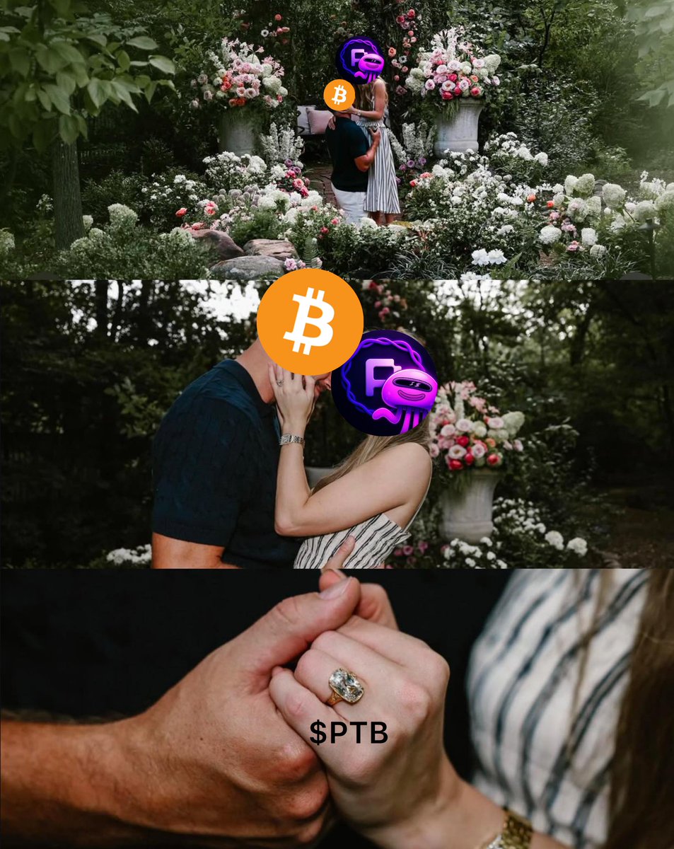 Pixel ZenZ tweet media
