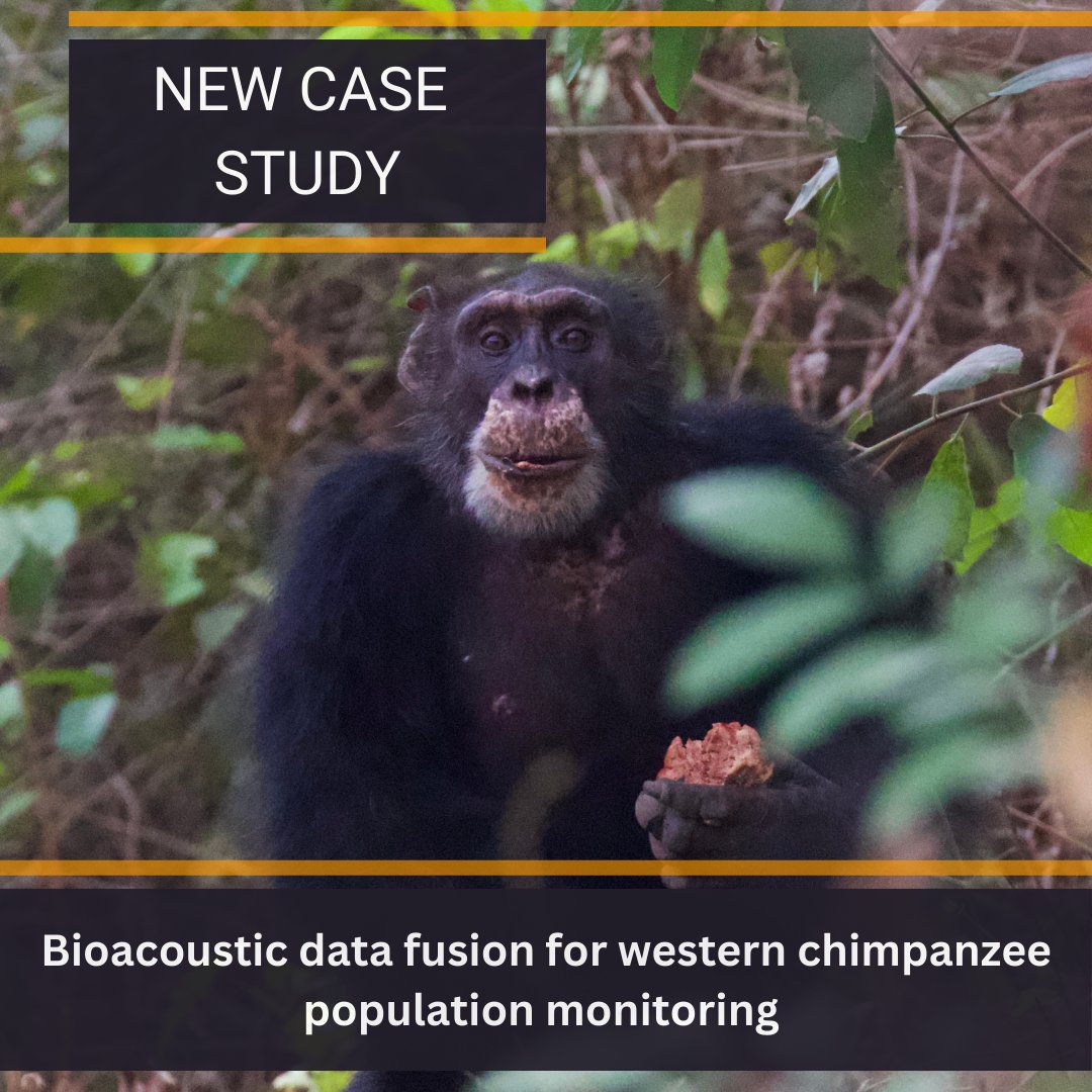 Frontier Labs tweet media