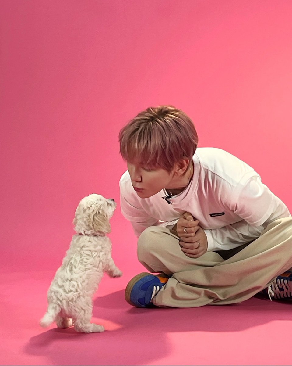 mayloverbh_'s tweet photo. 강아디x강아디 조합 너무 조은데 어케 ........ https://t.co/mSUSMdNZfj