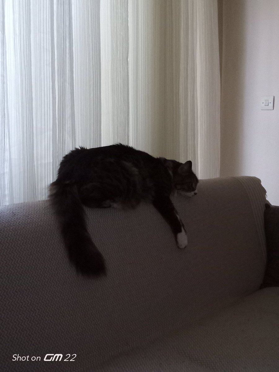 Günaydın insanoğlu 🍀☕🍀