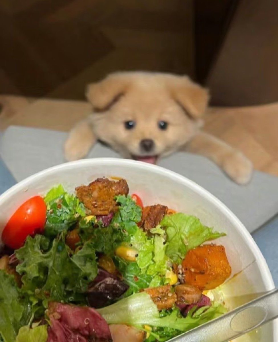 느껴지는 시선이 따가움...