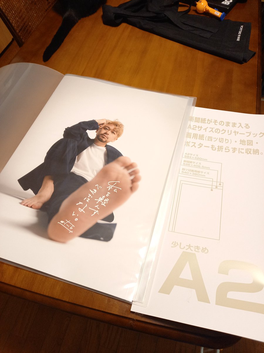 d-iZe新グッズ・ポスター】 A2サイズの大っきなクリアファイルにイン