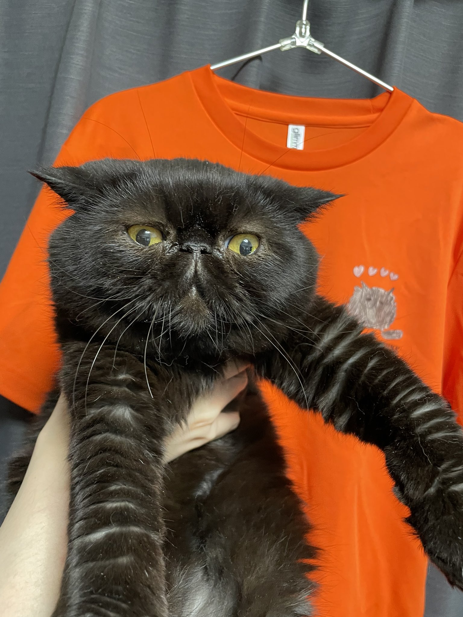 【バラ売りOK】見取り図　Tシャツ　パーカー　マスク バラ売りOK】見取り図 Tシャツ パーカー マスク - メルカリ