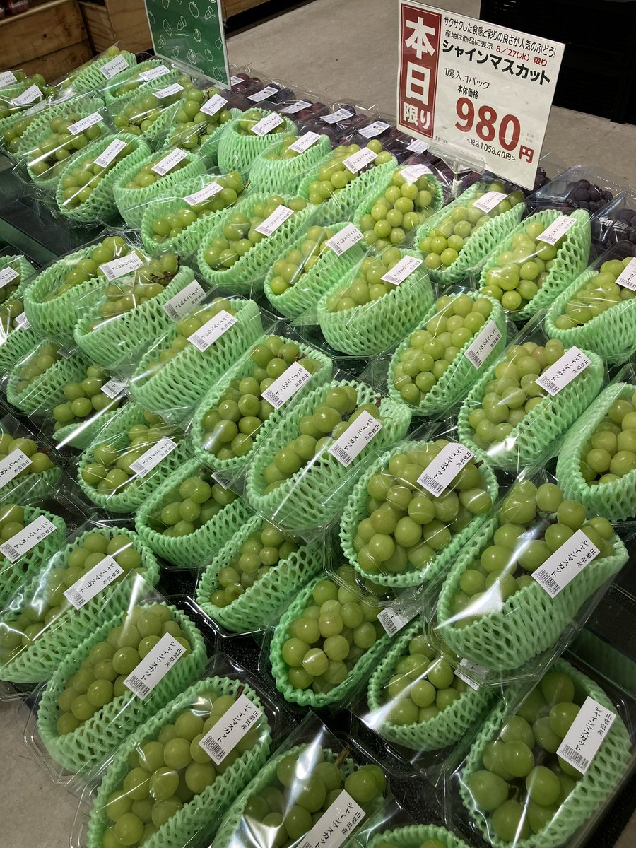 今日の買い物にはもう絶対！🍇 大粒プリプリのシャインマスカットが