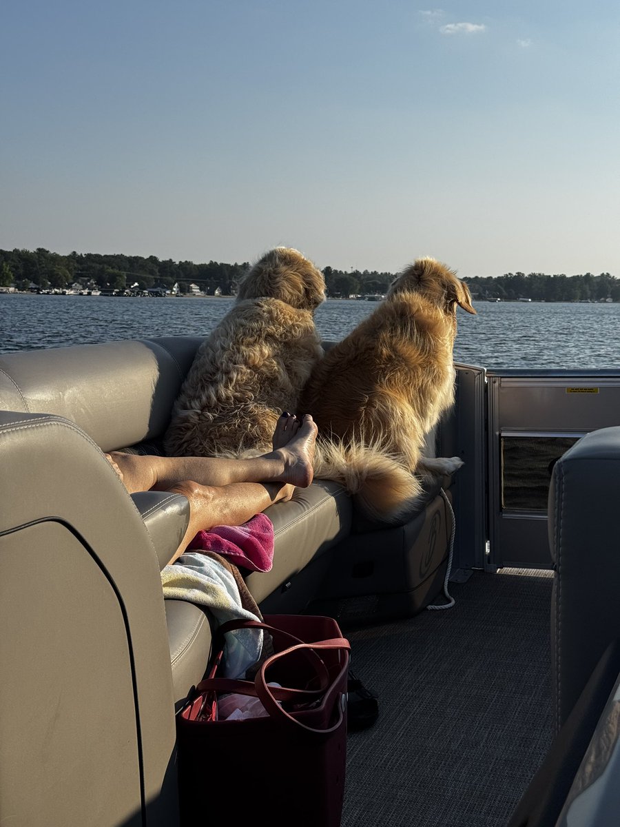 EricCook's tweet photo. Happy #InternationalDogDay to #TheCookDogs. ❤️🐶🐶❤️ The best lookouts a pontoon boat captain could ever wish for. https://t.co/gsNKNIWTjV