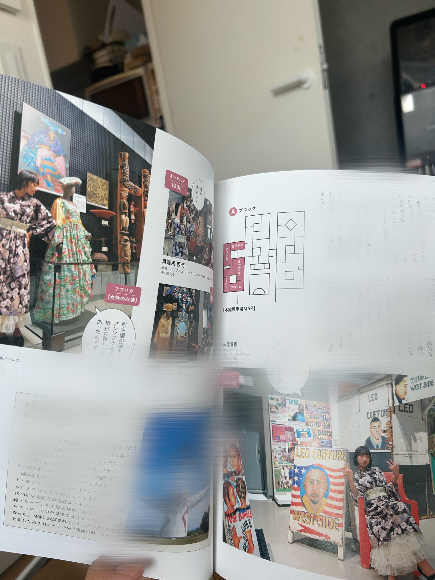 [太陽].廃刊季刊雑誌。趣味本、毎号、こだわった特集のカラー写真の多い雑誌。 2025年最新】Yahoo!オークション -雑誌 太陽 平凡社(本、雑誌)の