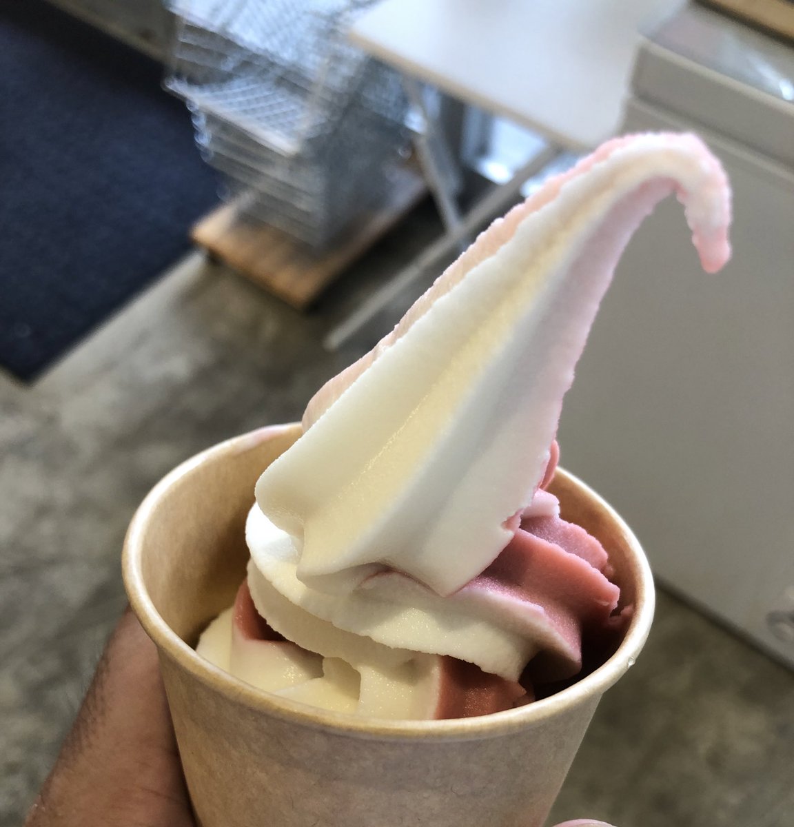 8/26に守谷市にある
もりやコレクション様<a href="/moricolle_info/">もりやコレクション</a> に福来サイダーの納品に行ってきました！
地元の食材やスイーツを取り揃えたアンテナショップです！
どうもありがとうございました！

#茨城大学 #守谷 #茨城 #アンテナショップ #サイダー #お土産 #グルメ