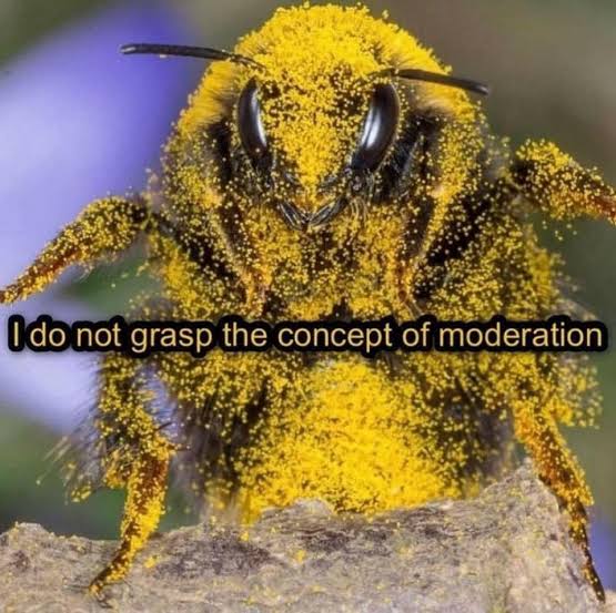 This is me unfortunately

Discipline is a learned art