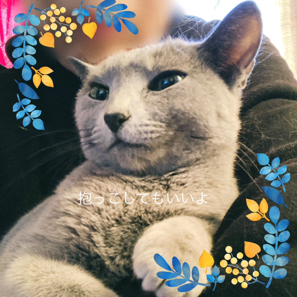 ♡ ねこちゃん 様、専用♡※他の方はご遠慮ください‼️ gd_and_baebae on X: 