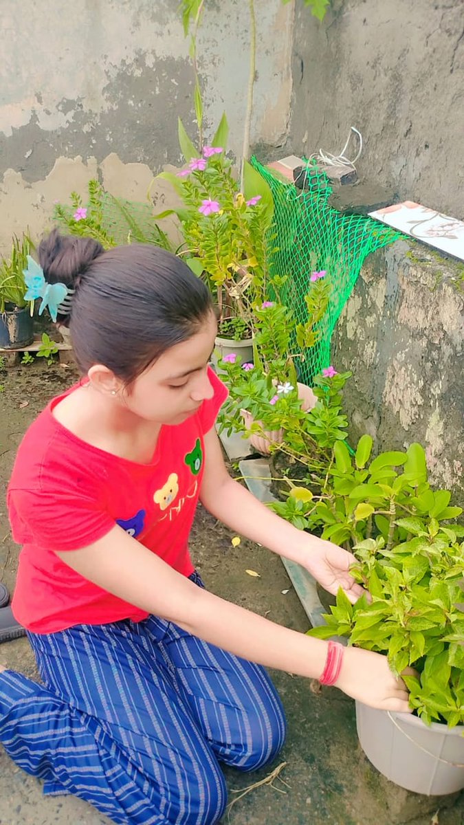 ggsss_no's tweet photo. Activity:Plants absorb pollutants through their leaves and roots. Some convert toxins into harmless by-products. Improve humidity via transpiration. Enhance mental health and productivity. We have Snake Plant, Ficus tree, Spider Plant and many more that help to control AQ index. https://t.co/1xHzgFLvD1