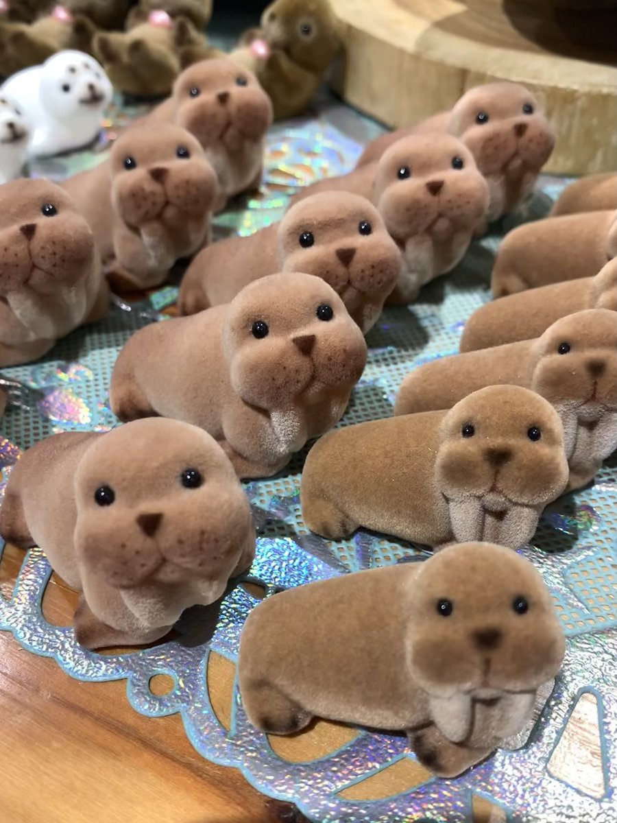 myao_my1's tweet image. #charmyおやつ

セイウチ可愛すぎる🫶水分補給してね

 #完全に一致では無いが何となく似てる