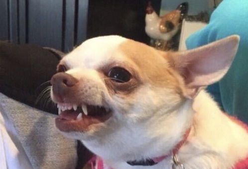 Me tacharon de loca porque insistía que el modo Rey de la Colina en Gears antes se llamaba Anexión, nadie se acordaba que fue hasta Gears 3 que evolucionó y ya se cambió de nombre.

Hoy confirmo que nomás los trues nos acordamos de Anexión por Gears of War 2.